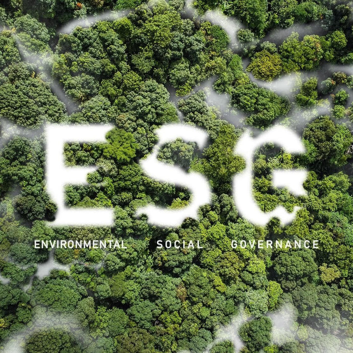 ESG im E-Commerce » So wird dein Unternehmen nachhaltig