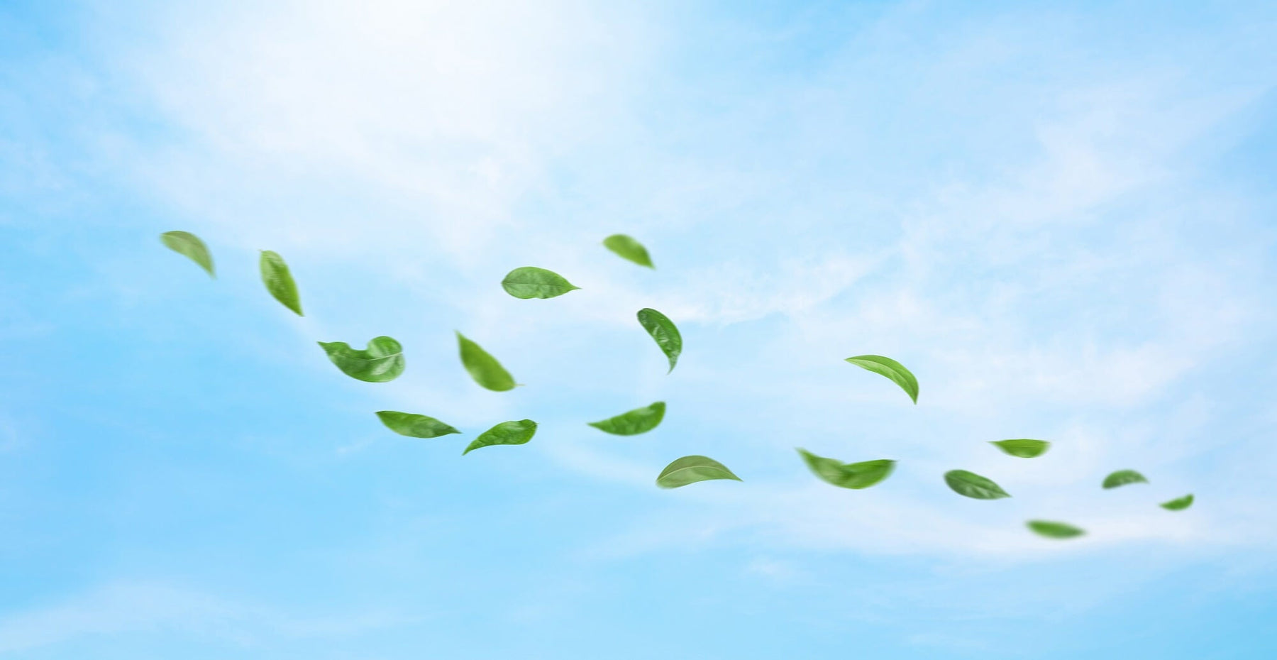 Luftmessgerät im Büro: Nutzen und Einsatzmöglichkeiten