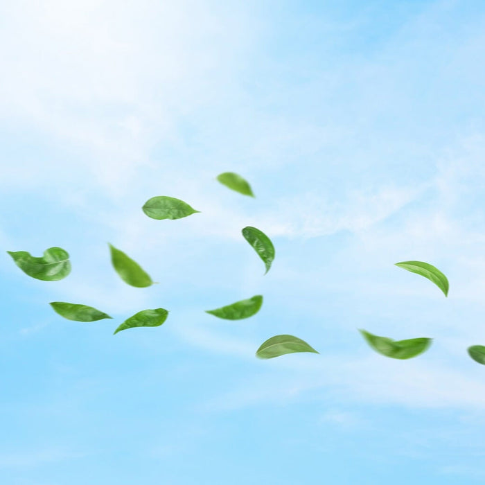 Luftmessgerät im Büro: Nutzen und Einsatzmöglichkeiten