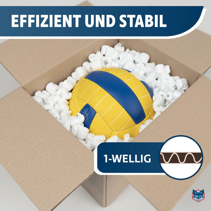 Karton 300 x 250 x 200 mm von VERPACKUNGSFUXX (1-wellig)