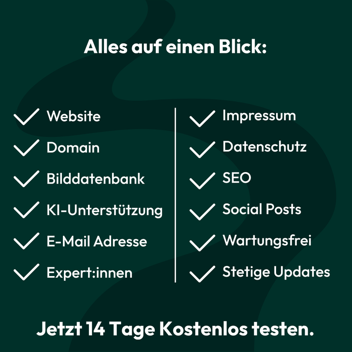 Paceways – Website mit KI [inkl. Lizenz]