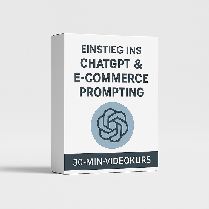 Einstieg ins ChatGPT E-Commerce Prompting (30min VIDEOKURS)