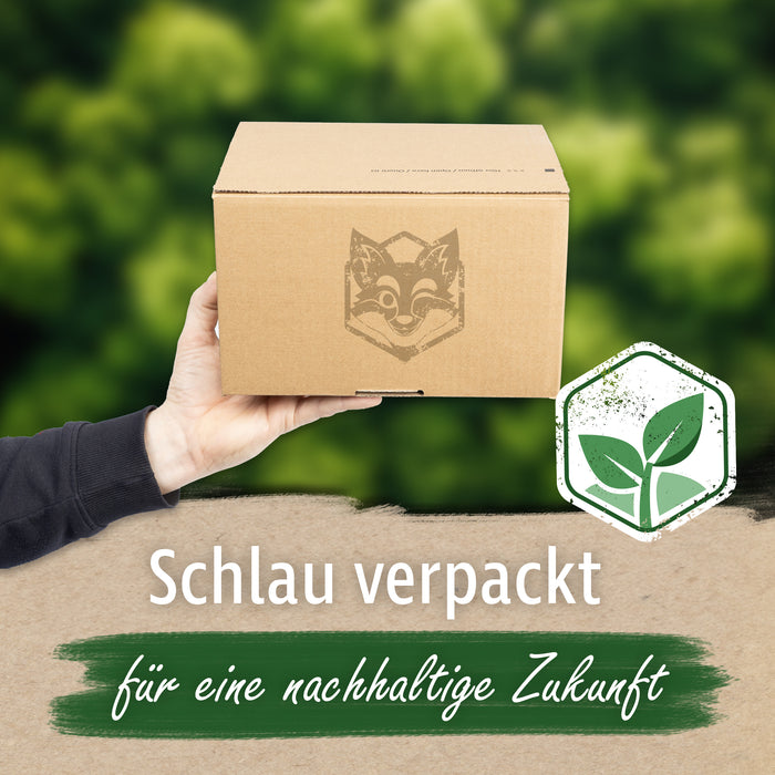 Automatikboden Karton 266 x 206 x 170 mm mit SK-Verschluss