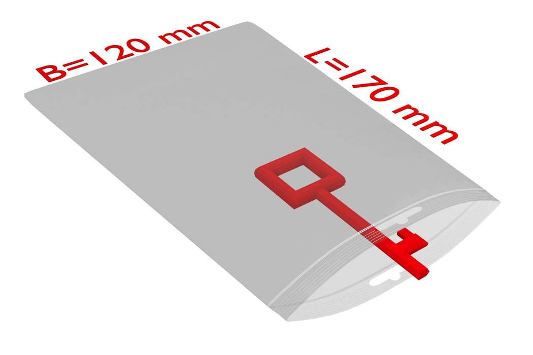 PE-Druckverschlussbeutel, 120x170mm, 50µ,transparent Eurolochung