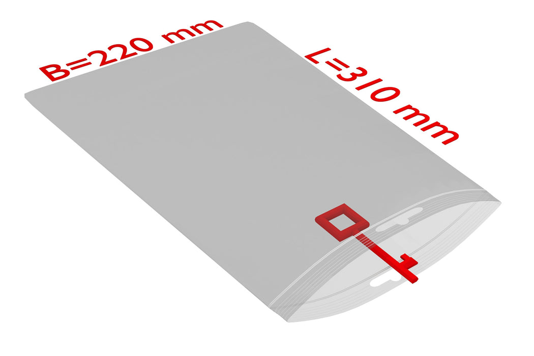 PE-Druckverschlussbeutel, 220x310mm, 50µ,transparent Eurolochung