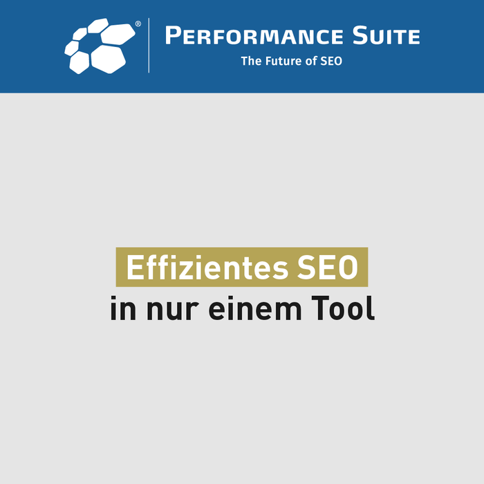 Performance Suite – All-in-One SEO Tool zum Aktionspreis