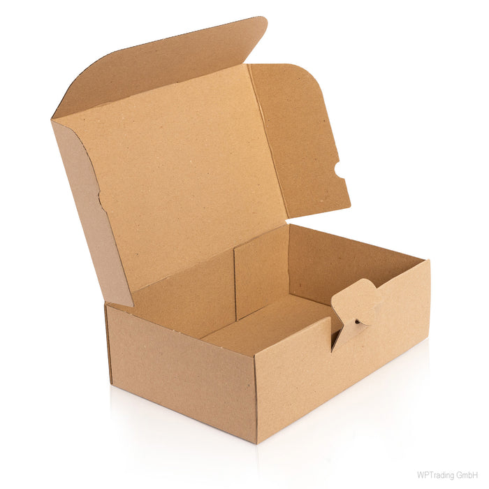 Kleinpaket Karton 240x160x75 mm, braun