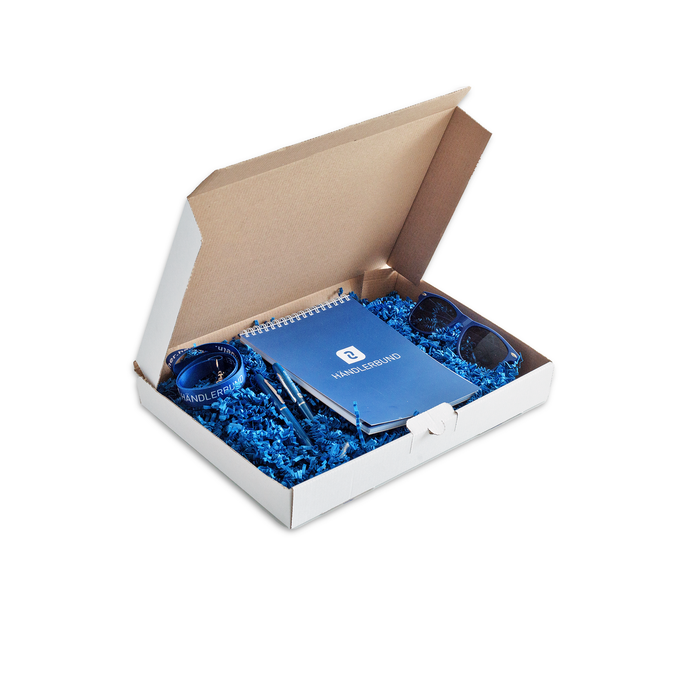 Maxibriefkarton 350 x 250 x 50 von Händlerbund, Faltkarton, weiss