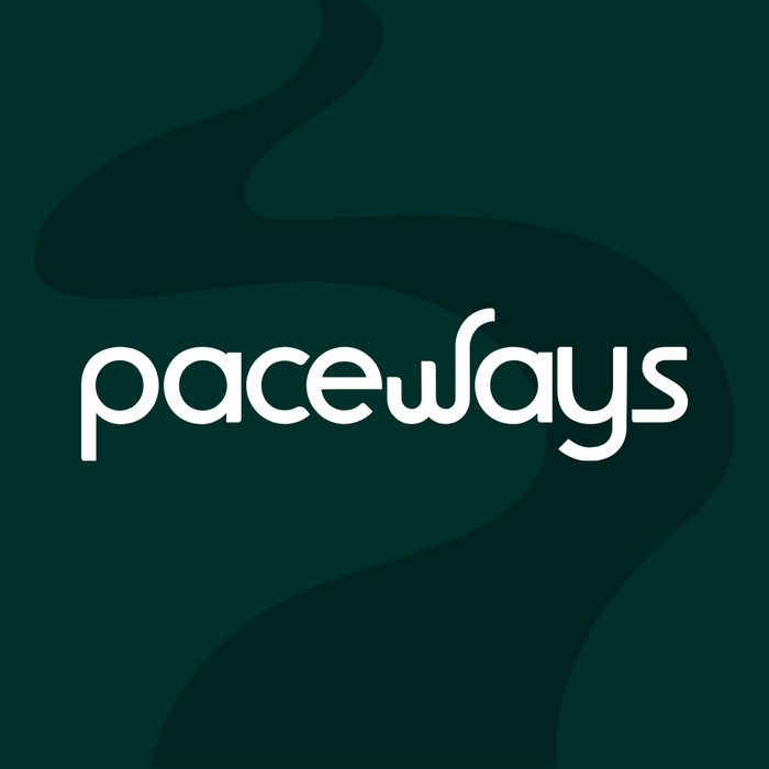 Paceways – Website mit KI [inkl. Lizenz]
