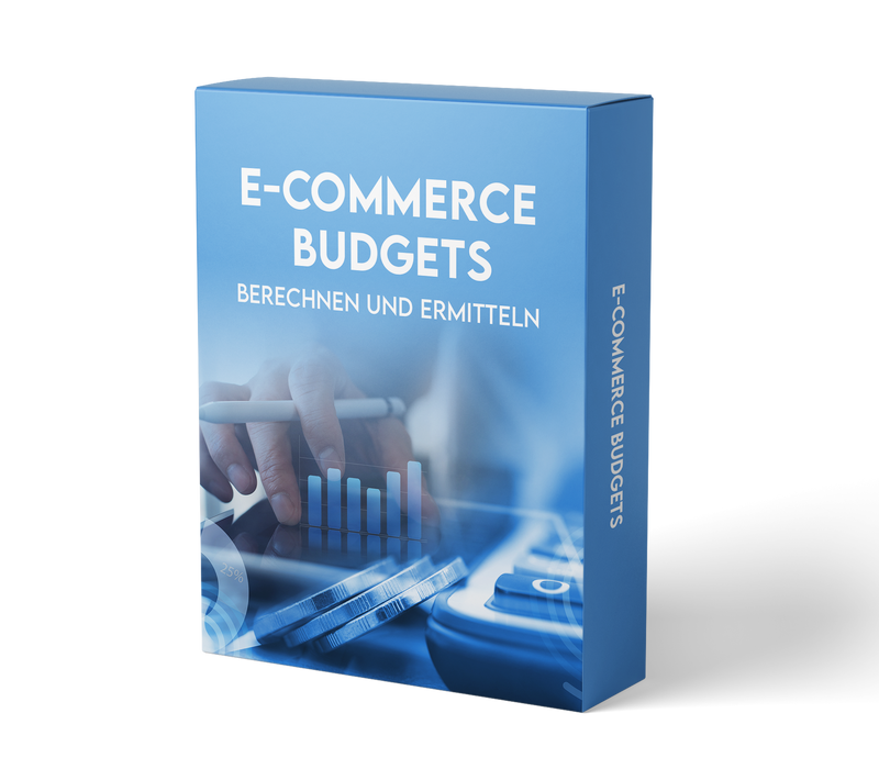 E-Commerce Budgets: Ermitteln und Berechnen (E-Learning Kurs)
