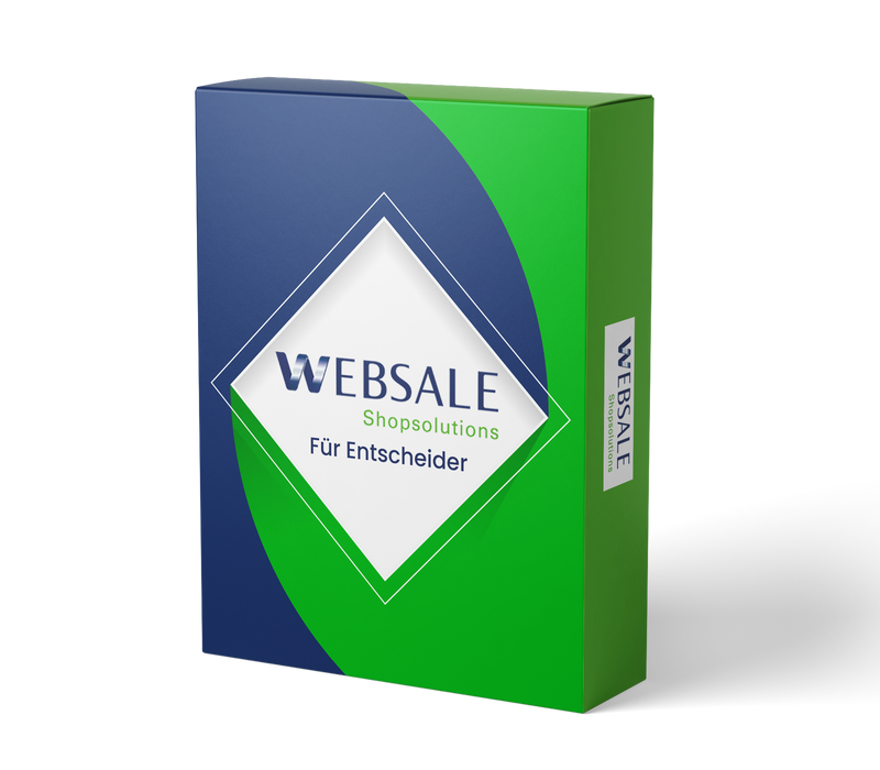 Websale für Entscheider (E-Learning)